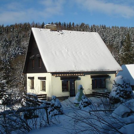 Erzgebirgsdomizil Am Schwartenberg Neuhausen  Bagian luar foto