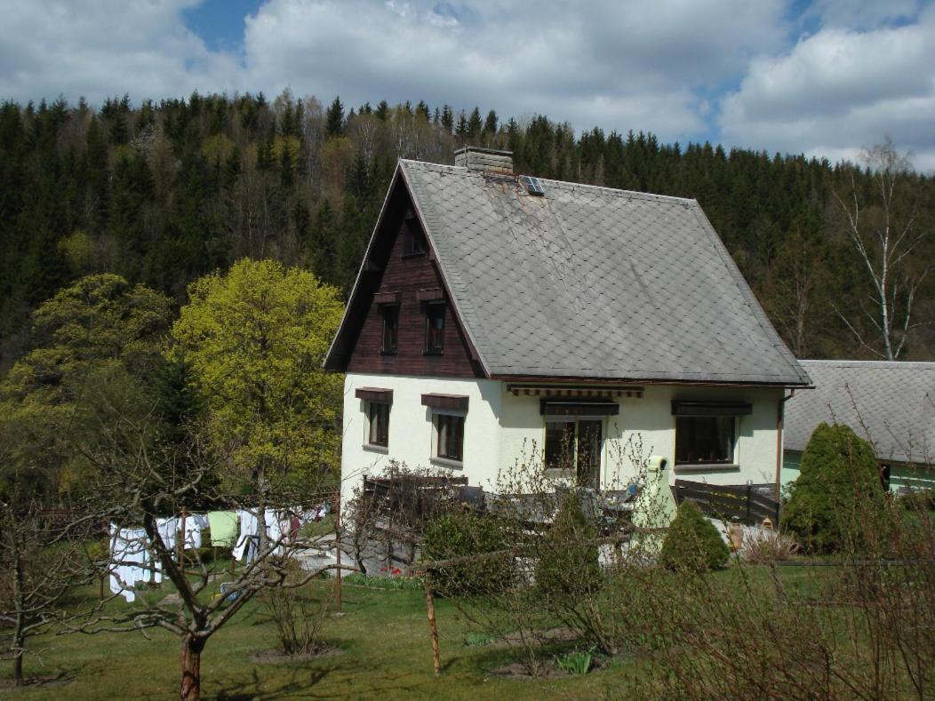 Erzgebirgsdomizil Am Schwartenberg Neuhausen  Bagian luar foto